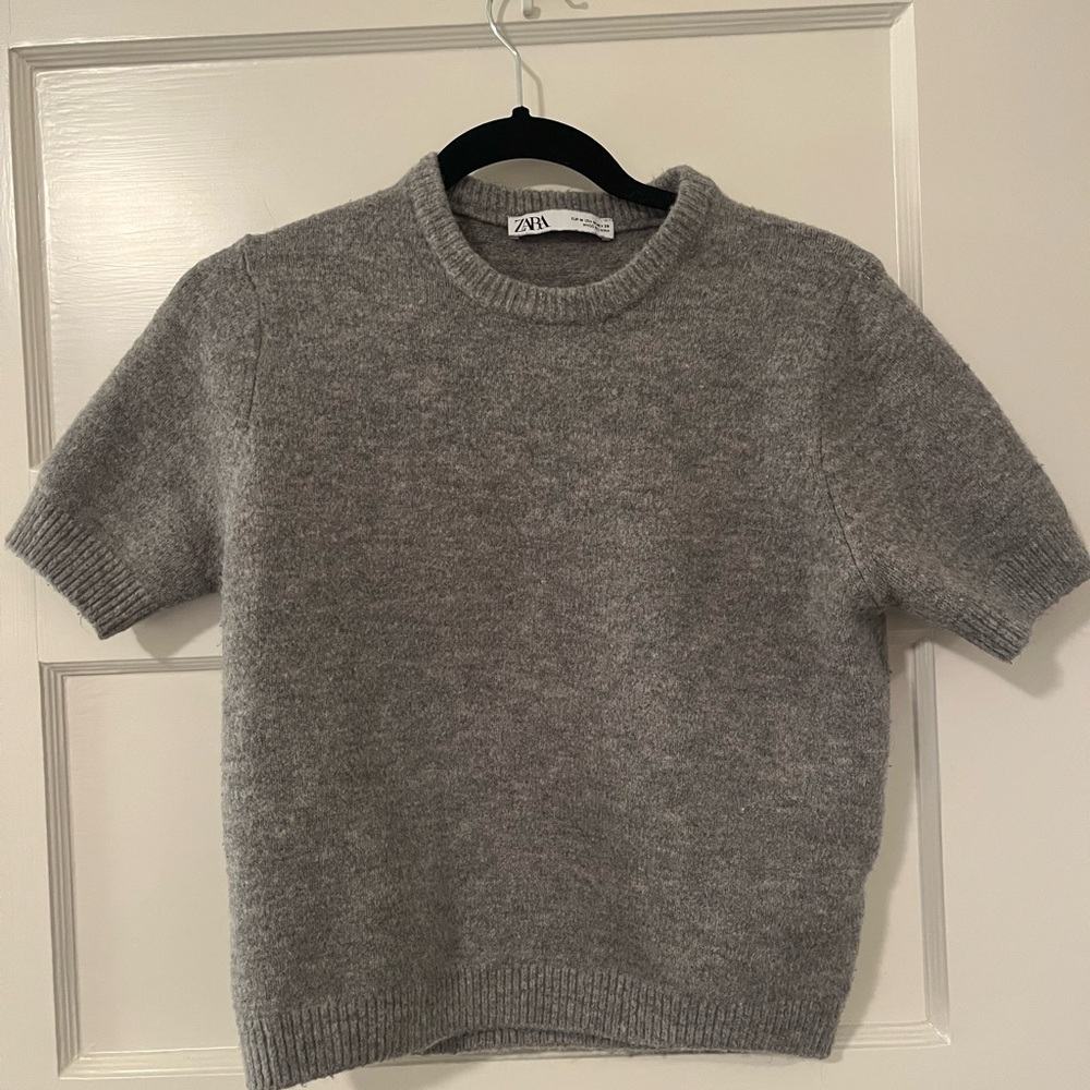 Zara Short Sleeve Crewneck Sweater in Light Gray
